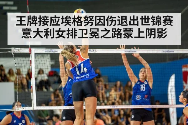 volleyball spike action