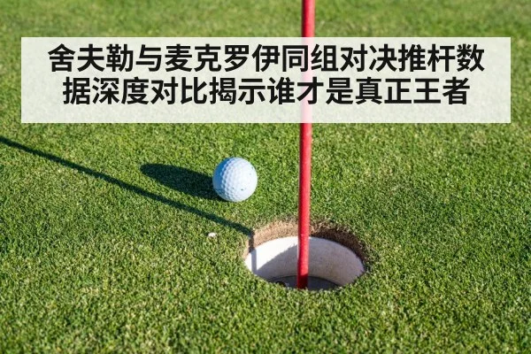 舍夫勒与麦克罗伊同组对决推杆数据深度对比揭示谁才是真正王者
